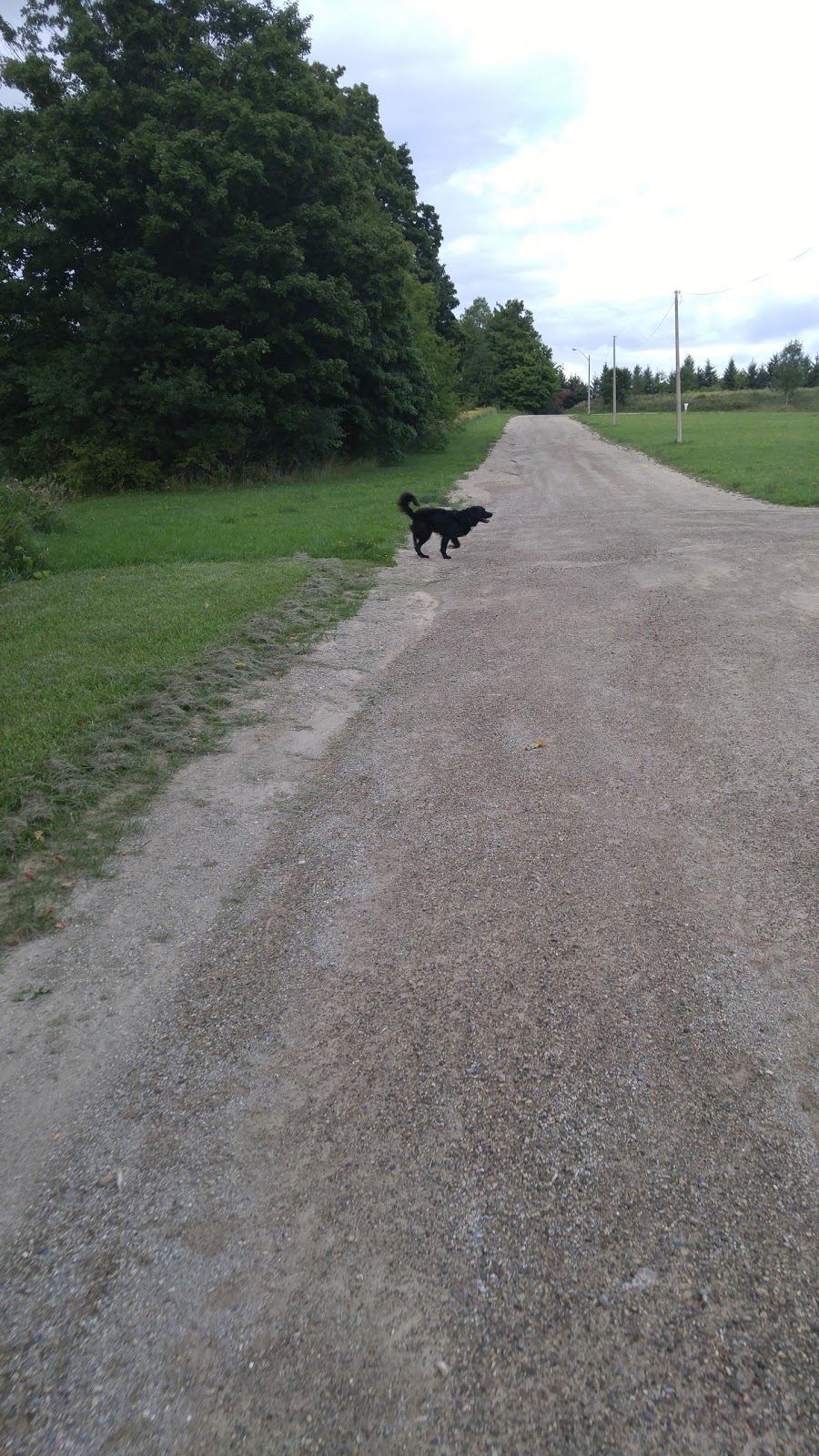 Fiddle Park | 515677 Dufferin County Road 11, Shelburne, ON L0N 1S0, Canada | Phone: (519) 925-2600