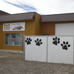 Back in the Pack Dog Daycare | 3131 68 St NW, Calgary, AB T3B 2J4, Canada | Phone: (403) 453-0913