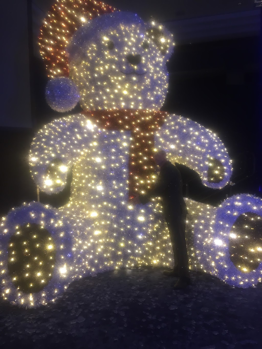 Christmas Decor Brantford | 19 Church St W, Scotland, ON N0E 1R0, Canada | Phone: (519) 756-1283