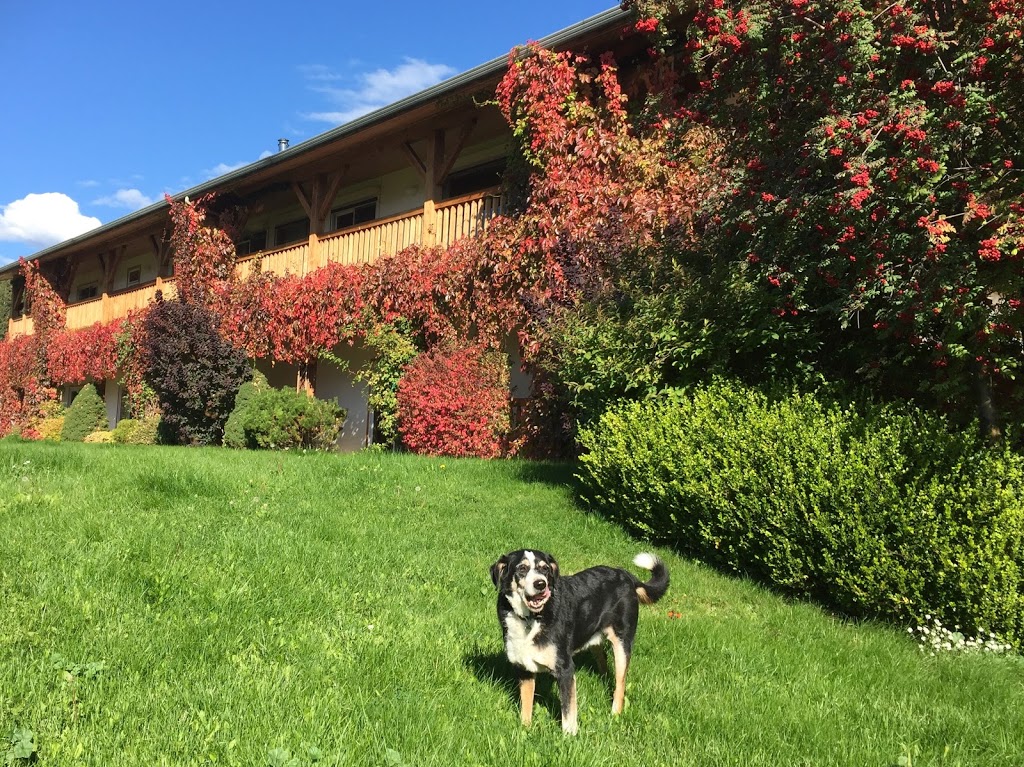 Swiss Lodge B&B | 2190 30 St NE, Salmon Arm, BC V1E 3G9, Canada | Phone: (250) 833-6191