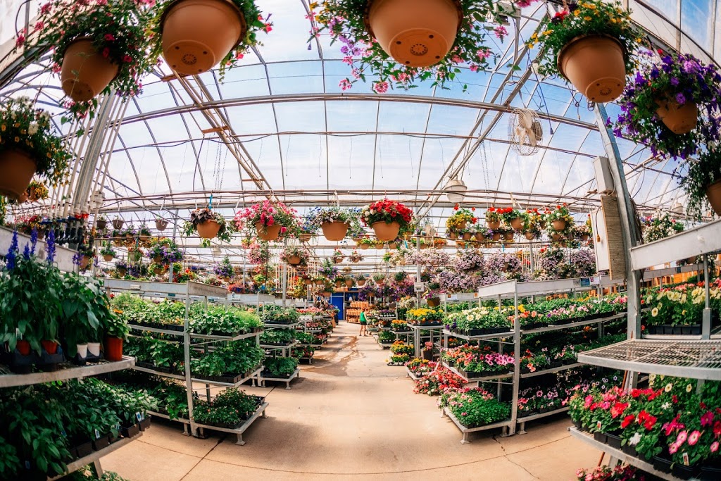 Dutch Growers | 1818 Central Ave, Saskatoon, SK S7N 2Z9, Canada | Phone: (306) 249-1222