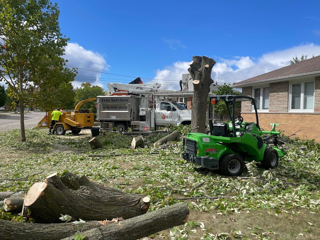 R. T. E. Tree Service | 1237 Concession 5 W, Waterdown, ON L8B 1L3, Canada | Phone: (905) 699-5029