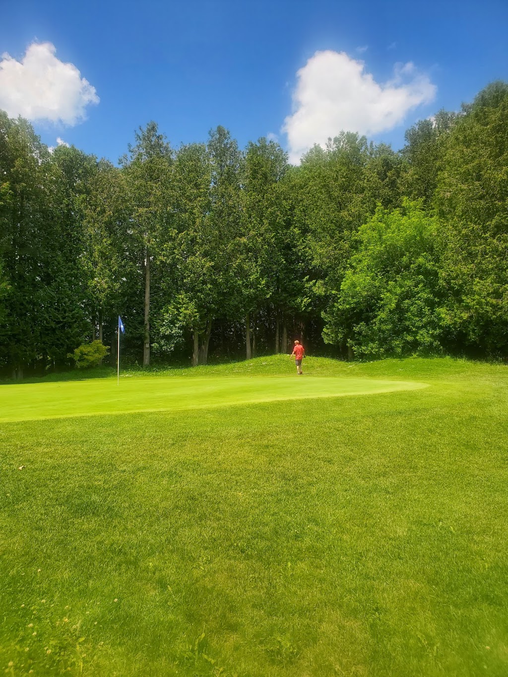 Markdale Golf and Curling Club | 85 Edith Ave, Markdale, ON N0C 1H0, Canada | Phone: (519) 986-2690