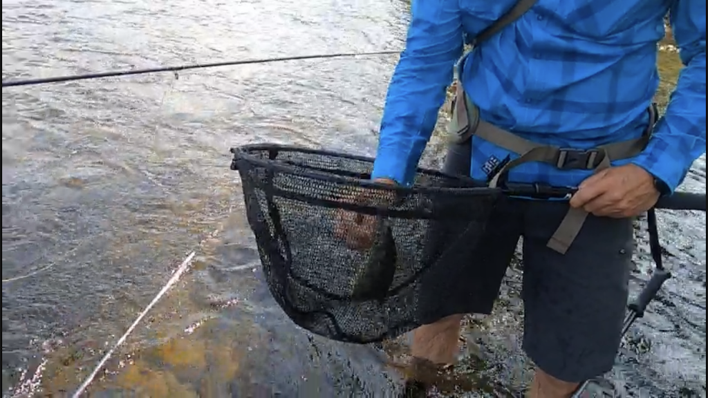Algonquin Fly Fishing Premium Guide Service | 1746 Forest Lea Rd, Pembroke, ON K8A 6W6, Canada | Phone: (613) 281-4729