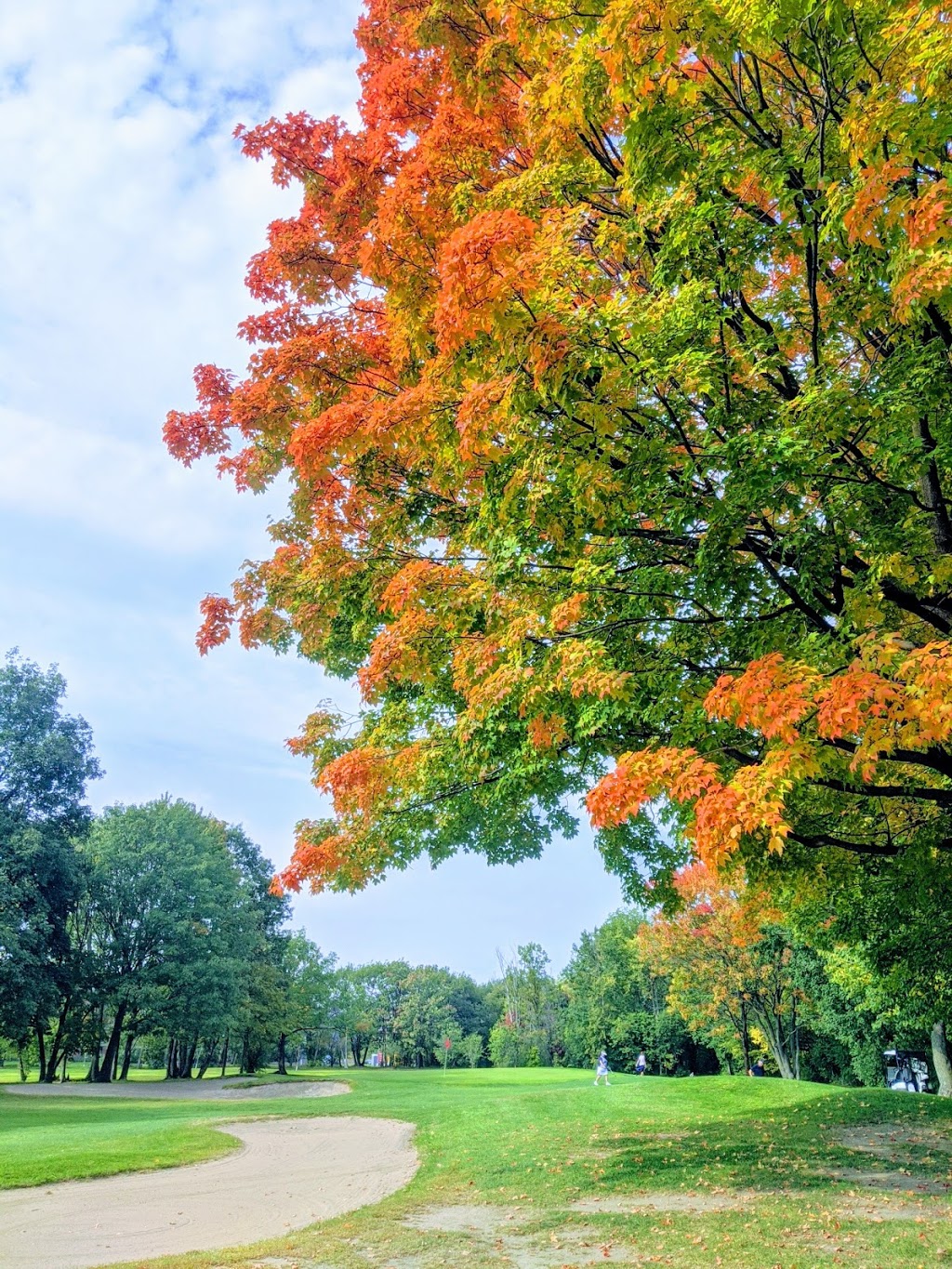 Club de Golf St-Lambert | 325 Rue du Golf, Saint-Lambert, QC J4P 1Z6, Canada | Phone: (450) 671-0462