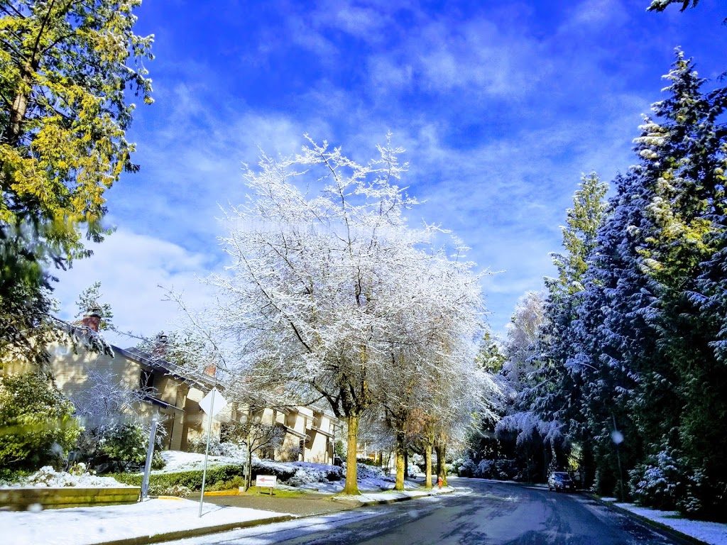 Musqueam Park | 4000 SW Marine Dr, Vancouver, BC V6N 2B8, Canada | Phone: (604) 873-7000