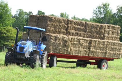 Borrow Family Farm | 2769 Upper Big Chute Rd, Coldwater, ON L0K 1E0, Canada | Phone: (705) 686-7456