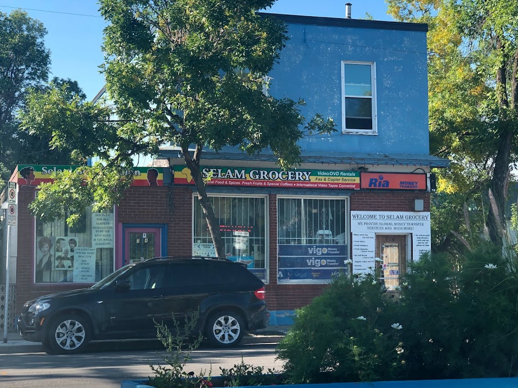 Selam Grocery | 714 Ellice Ave, Winnipeg, MB R3G 0B1, Canada | Phone: (204) 772-2662