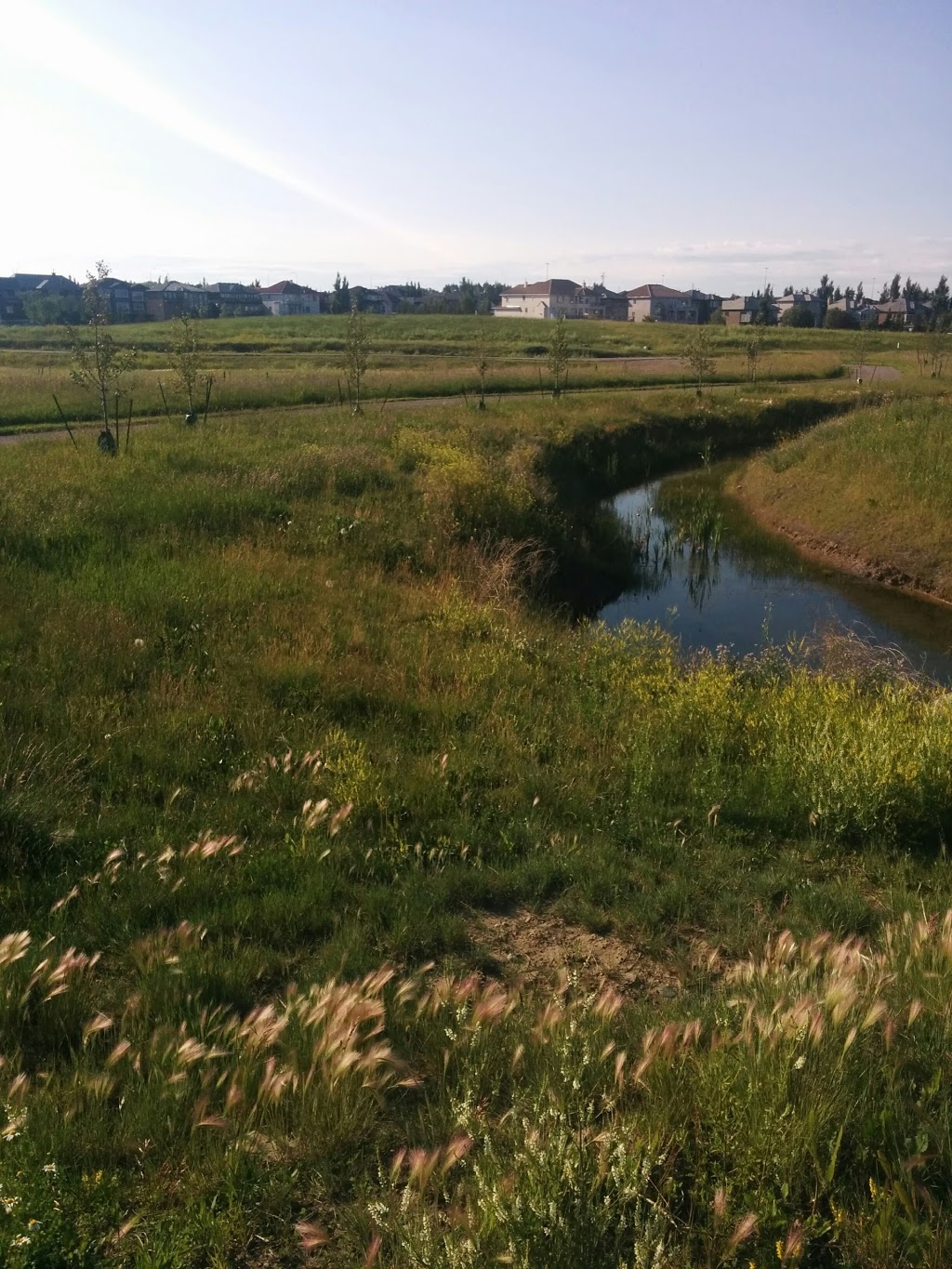LakePointe Park | 108 Waterlily Cove, Chestermere, AB T1X 0C5, Canada