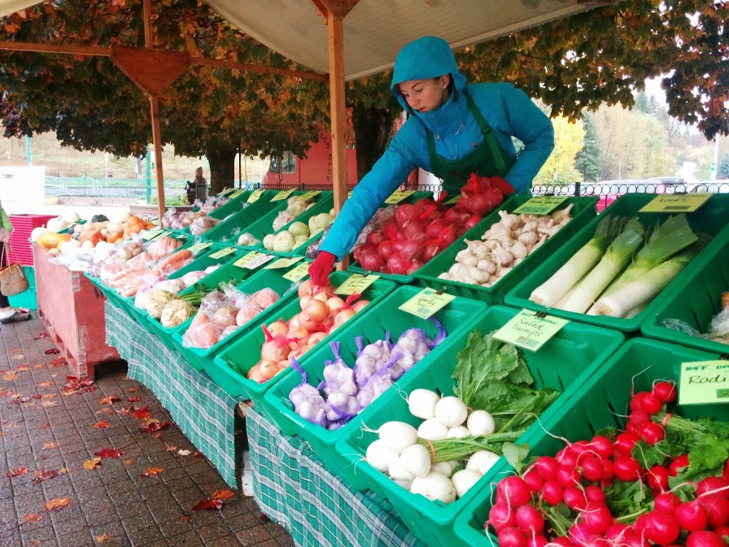 Wild Flight Farm | 205 Rosemond Lake Rd, Mara, BC V0E 2K0, Canada | Phone: (250) 838-7447