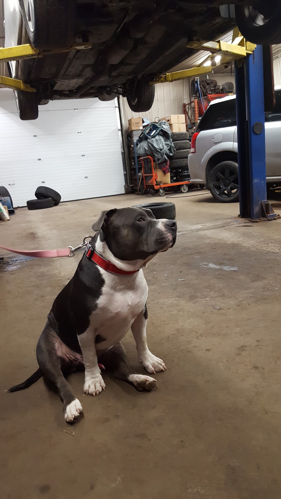 E-MECHANICAL | 6646 Fourth Line Rd, North Gower, ON K0A 2T0, Canada