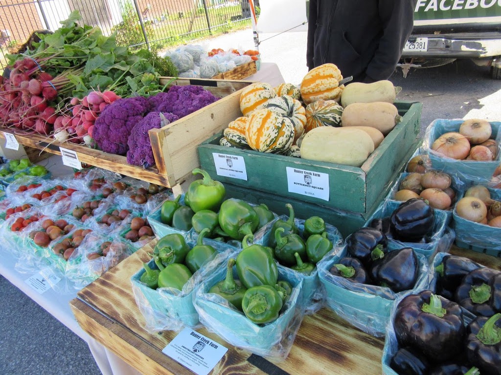 Hunter Creek Farm | 43 Lorne St, Sunderland, ON L0C 1H0, Canada | Phone: (289) 354-0245