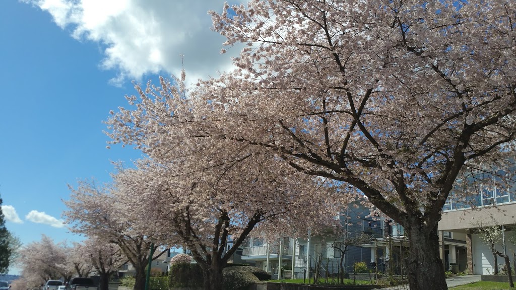Capitol Hill Reservoir Park | 229 N Hythe Ave, Burnaby, BC V5B 1G6, Canada | Phone: (604) 294-7450