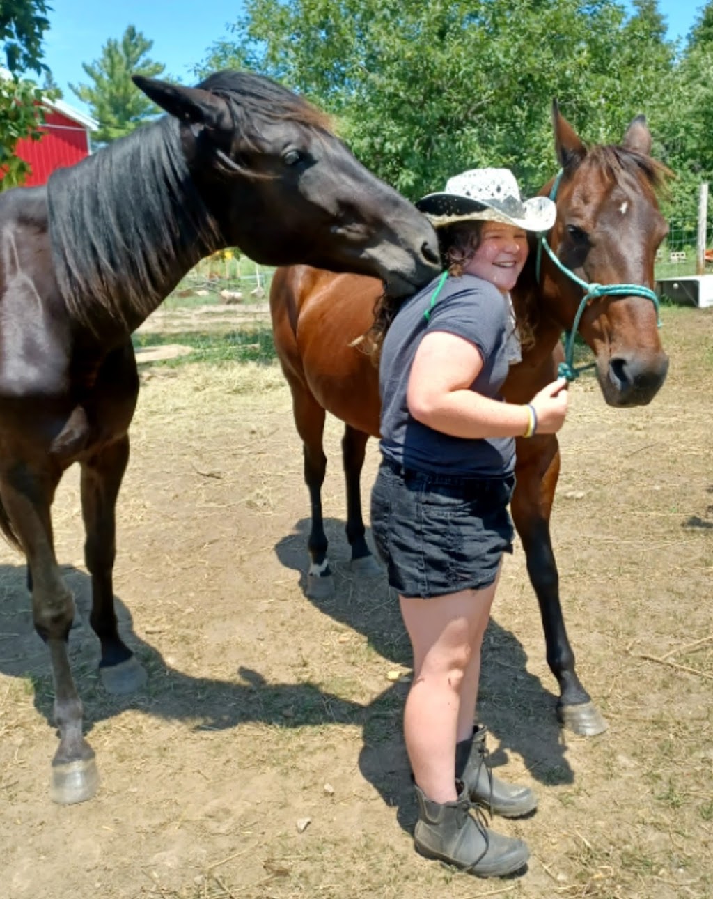 STARDUST ACRES A FLAHERTY FARM | 205 Pickerel Point Rd RR6, Lindsay, ON K9V 4R6, Canada | Phone: (705) 344-5580