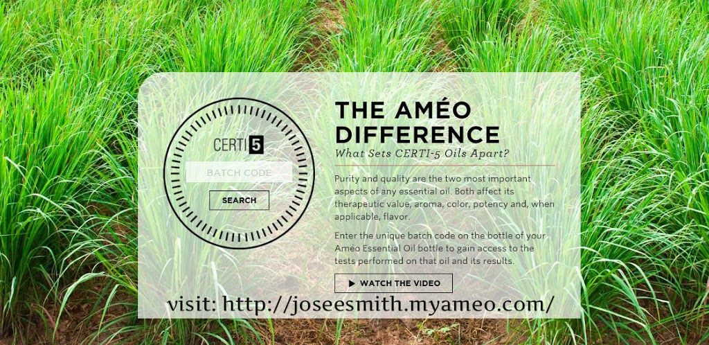 Josee Smith No Excuse Health Coaching | 1046 Lakeshore Rd, Sarnia, ON N7V 2V6, Canada | Phone: (519) 402-8093