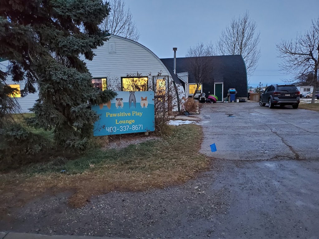 Pawsitive Play Lounge | 130 9 Ave, Carstairs, AB T0M 0N0, Canada | Phone: (403) 337-8671