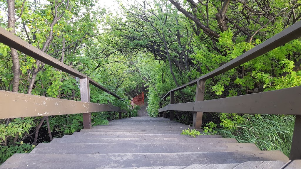 MacKinnon Ravine Park | Edmonton, AB T5N 3M7, Canada