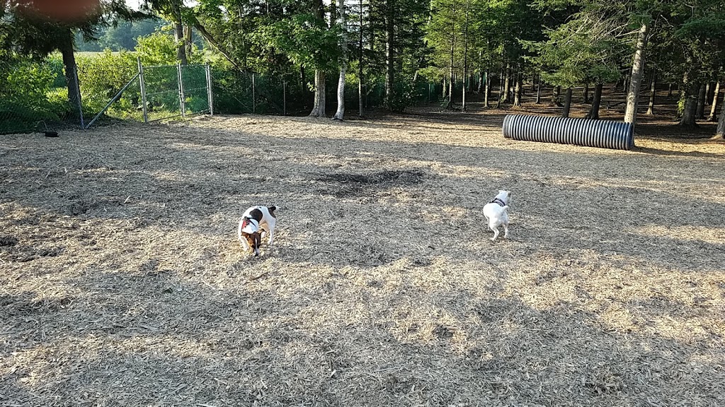 Petsafe Kingdom Dog Park | 299 T-34, Derby, VT 05829, USA