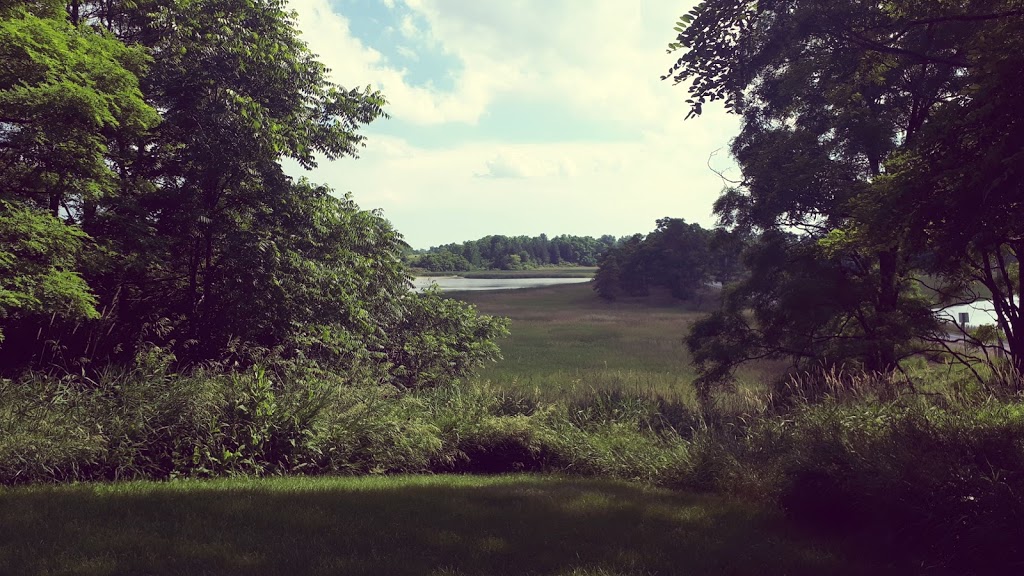 Tyneside Trail | Tyneside Trail, Hamilton, ON L0R 1W0, Canada