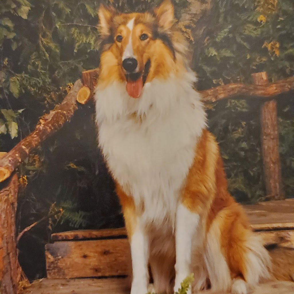 For Pets Sake | 168 Baltimore Rd, Winnipeg, MB R3L 1H3, Canada | Phone: (204) 885-2116
