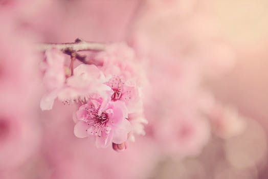 The Facial Studio Canada | 367 Bankside Dr, Kitchener, ON N2N 3K1, Canada | Phone: (647) 284-2909