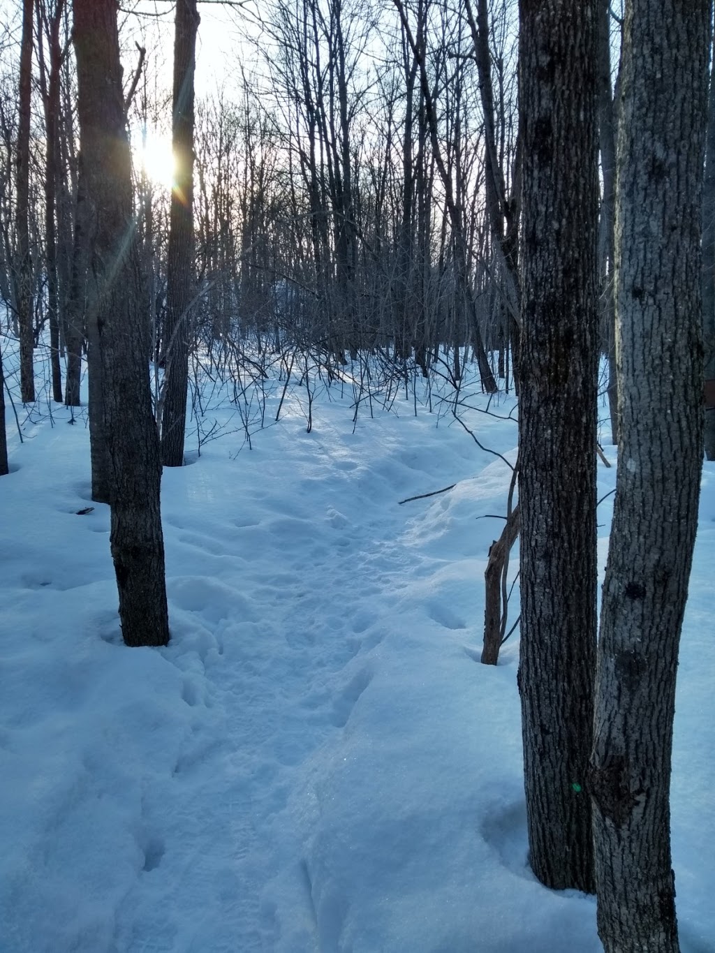 Landsdowne Natural Heritage Park | Mississippi Mills, ON K0A 1A0, Canada