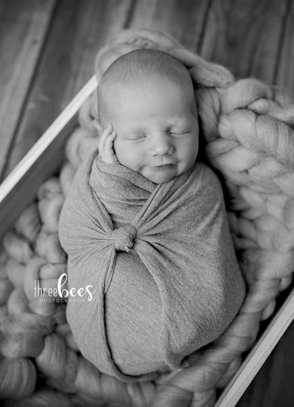 THREE BEES STUDIO | 10 Dorman St, Brighton, ON K0K 1H0, Canada | Phone: (613) 661-9166
