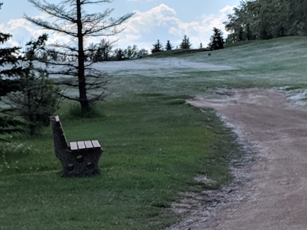 Carstairs Golf Club | 2 Highway 2A North, Carstairs, AB T0M 0N0, Canada | Phone: (403) 337-3382