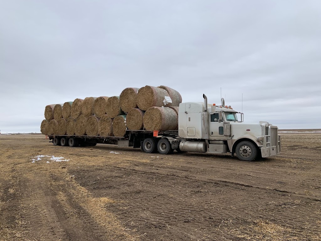 SunShine Custom Farming LTD. | 231079, Township Rd 104, Nobleford, AB T0L 1S0, Canada | Phone: (403) 715-4281