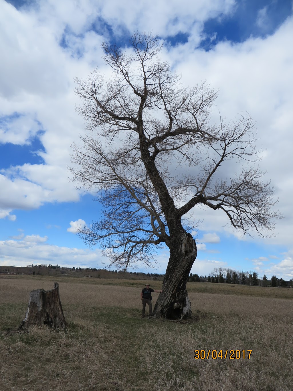 Bankside - Fish Creek Provincial Park | Southeast Calgary, Calgary, AB T2J 6R1, Canada