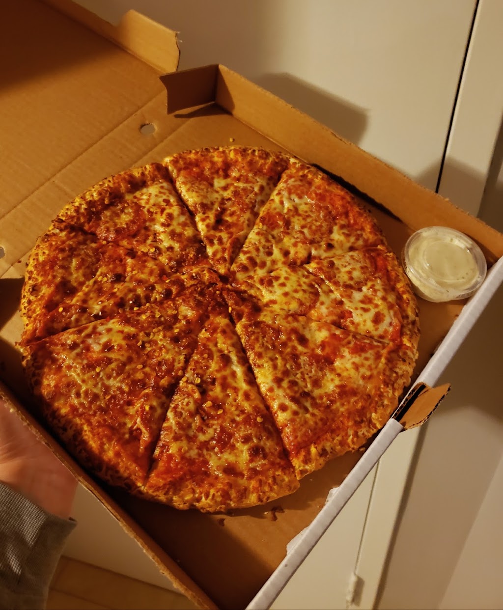 Pizza Wings & More | 3421 Fieldgate Dr, Mississauga, ON L4X 2J4, Canada | Phone: (905) 232-4411