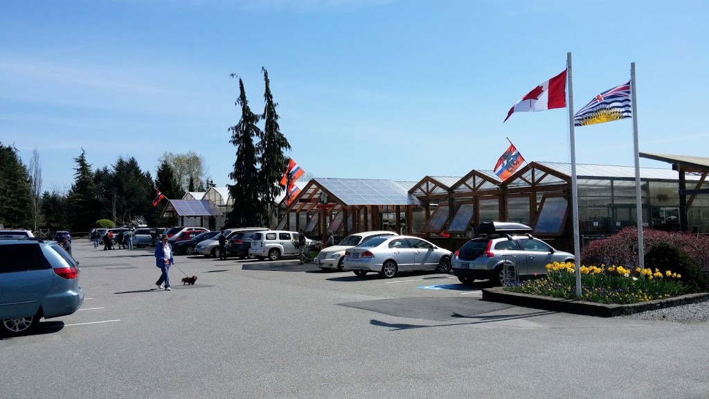Amsterdam Greenhouses & Garden Centre | 19100 Old Dewdney Trunk Rd, Pitt Meadows, BC V3Y 2R8, Canada | Phone: (604) 465-6614