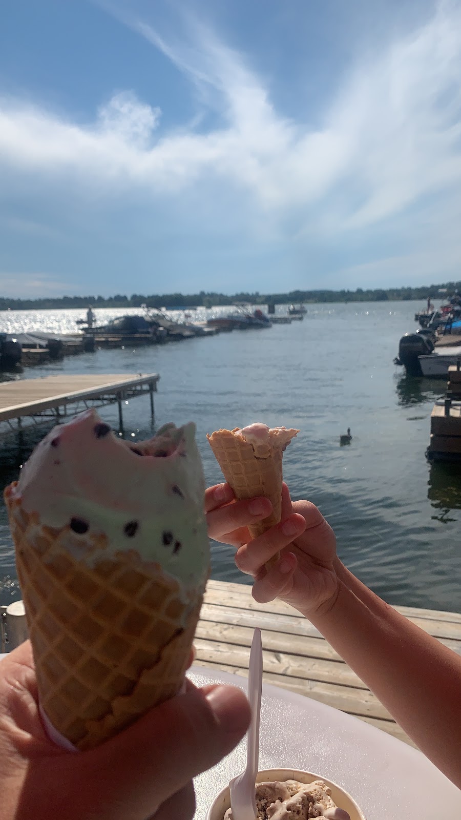 Great Outdoors Landing And Kawartha Dairy | 888 Garthorne Ave, Bridgenorth, ON K0L 1H0, Canada | Phone: (705) 292-7534