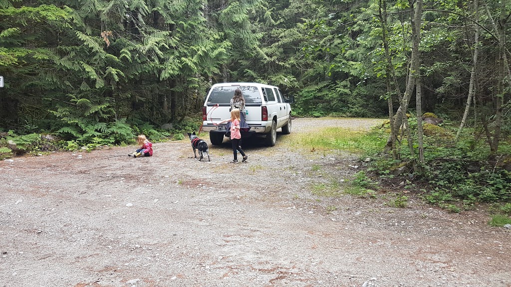 Skwellepil Creek Rec Site | Fraser Valley C, BC V0M 1L0, Canada