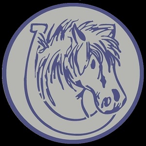 Esprix Stables High Performance Riding Club | 2410 Secondary Hwy 627, Parkland County, AB T7Y 2R3, Canada | Phone: (780) 220-4756