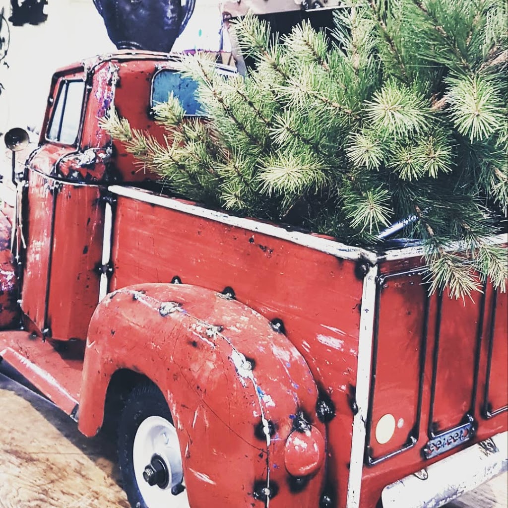 The Living Outdoors Ltd | 486 Main St, Cambridge, ON N1R 5S7, Canada | Phone: (519) 622-1861