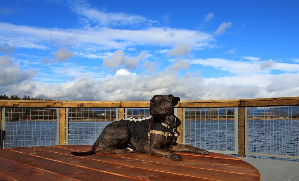 Willband Creek Park | Bateman Rd, Abbotsford, BC V2S 7Y8, Canada | Phone: (604) 853-2281