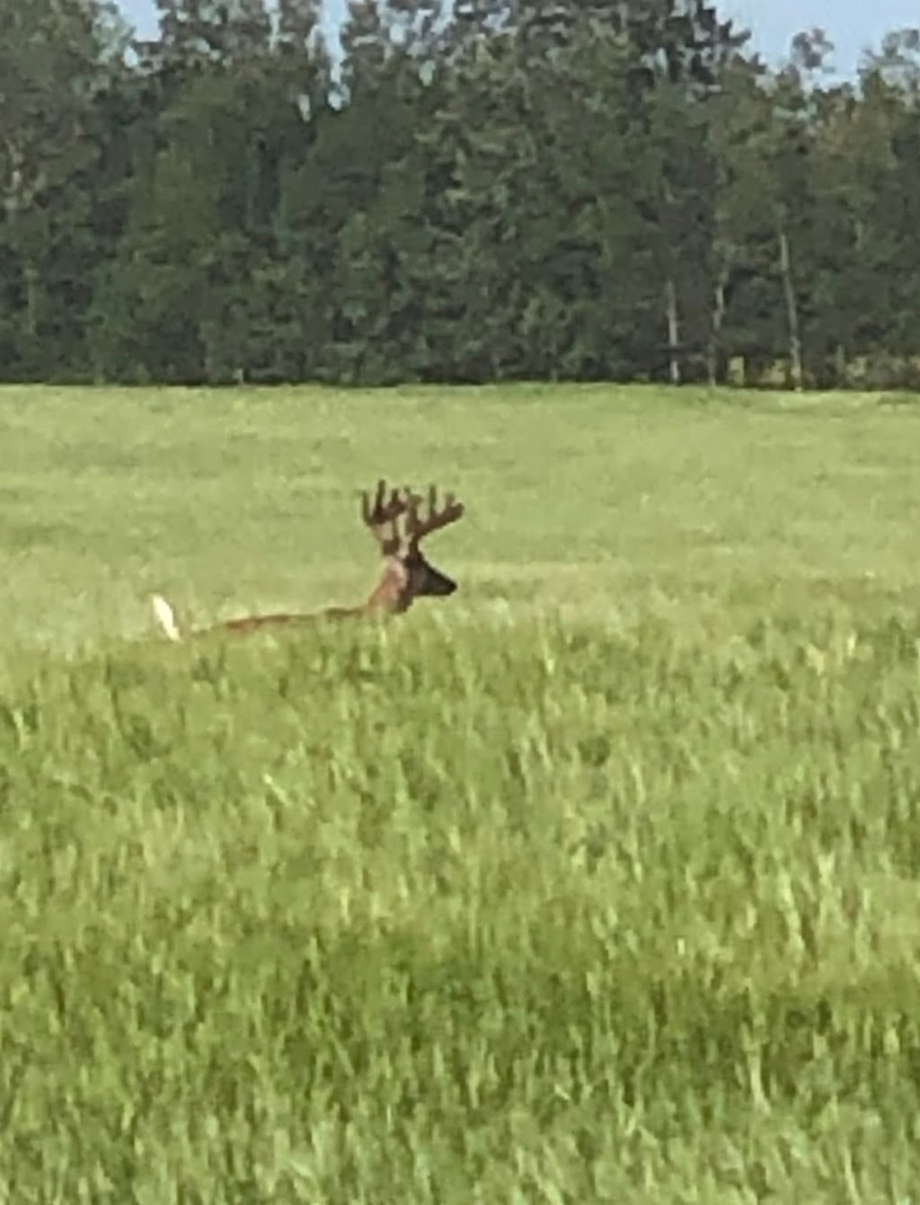 Otter Creek Outfitters | 551 4th St E, Spiritwood, SK S0J 2M0, Canada | Phone: (306) 883-7586