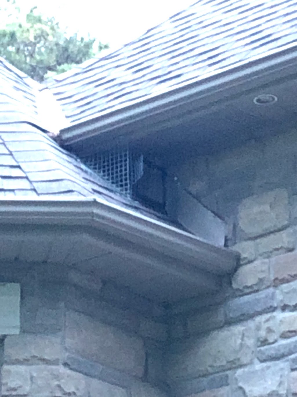 K5 Wildlife Services | 22 Spring Creek Dr Unit #3, Waterdown, ON L8B 1V7, Canada | Phone: (905) 617-0355