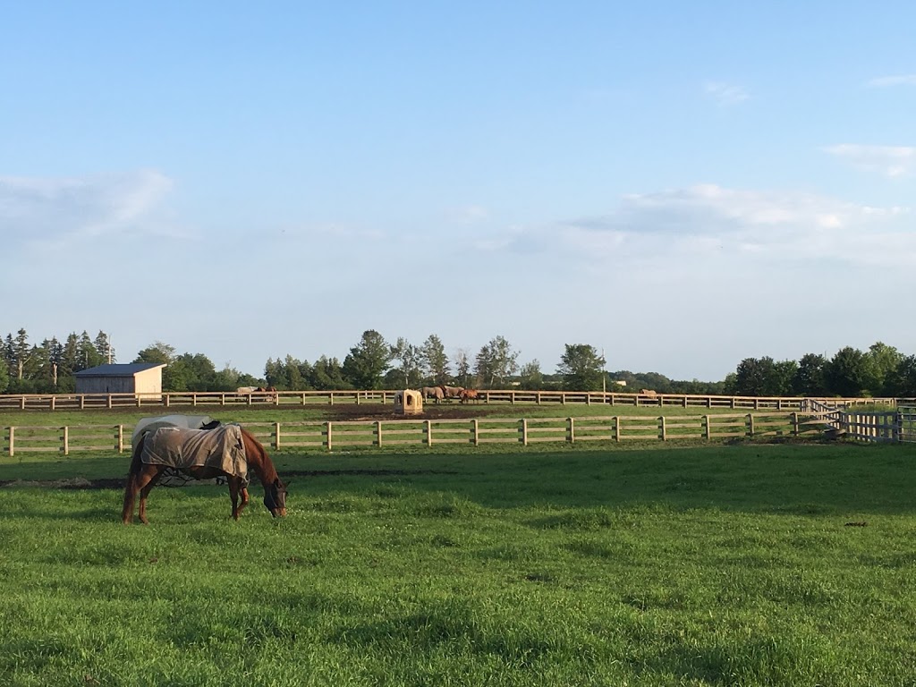 Lake House Stables | 412 Townline Rd, Ashburn, ON L0B 1A0, Canada | Phone: (905) 441-3141