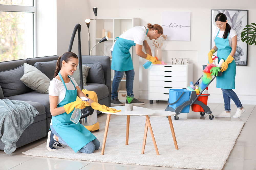 Squeaky Cleaning Thornhill | 175 Commerce Valley Dr W Suite 350, Thornhill, ON L3T 7P6, Canada | Phone: (647) 492-8711