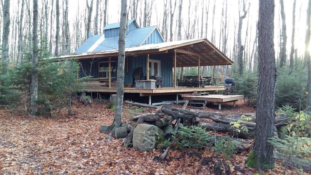 Lady Bank Maples | 467510 12th Concession B, Feversham, ON N0C 1C0, Canada | Phone: (519) 379-4422