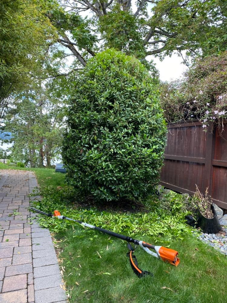 YYJ Lawns | 9515 Glenelg Ave, North Saanich, BC V8L 5H2, Canada | Phone: (250) 208-3033