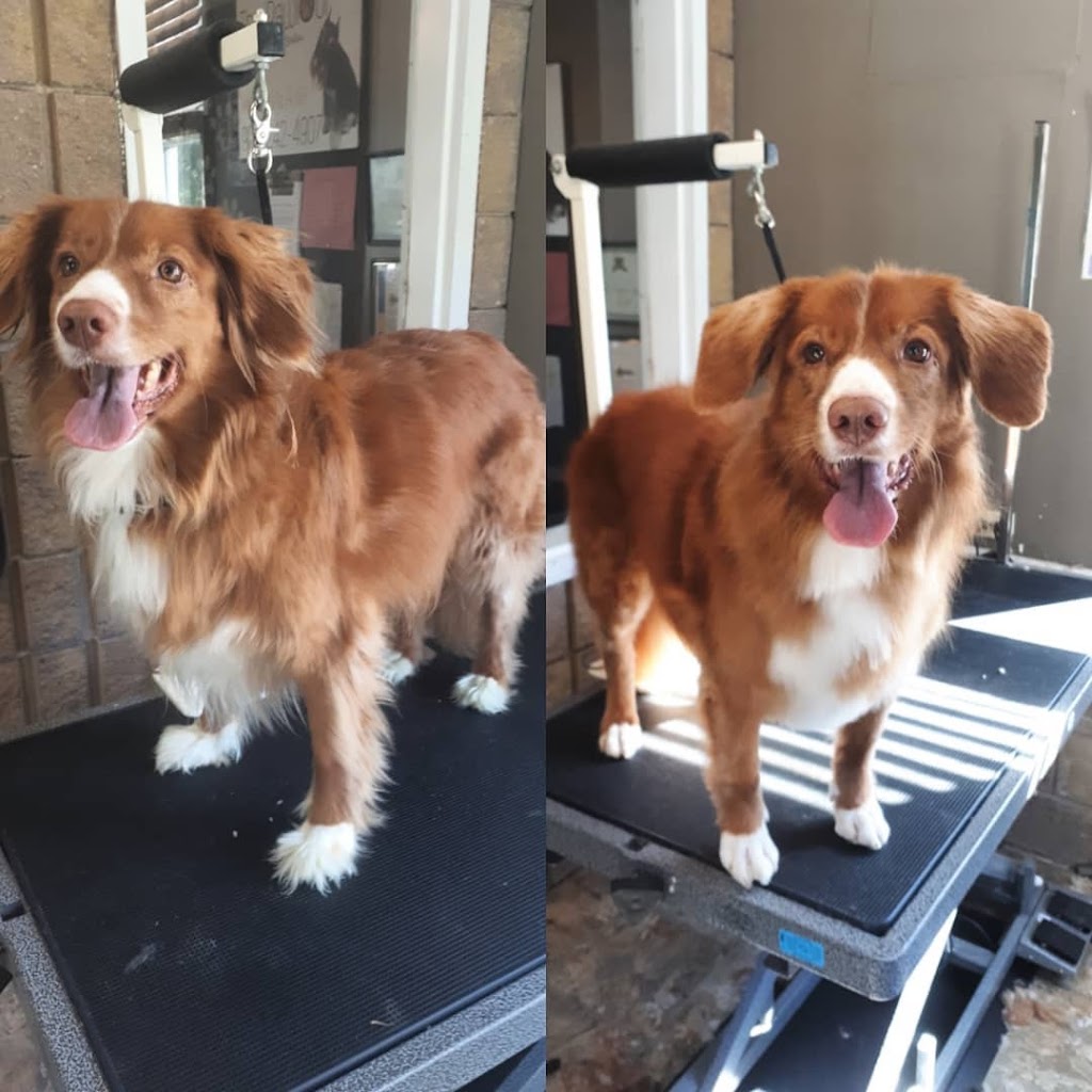 The Pawlour | 21 Temperance St, Bowmanville, ON L1C 1A1, Canada | Phone: (905) 242-7202