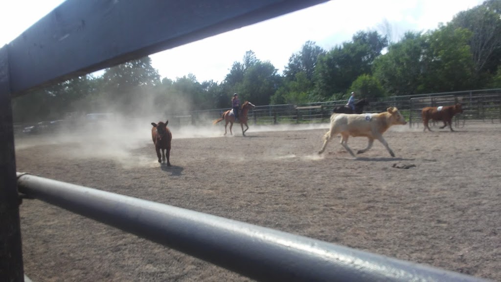 Princess Louise Park Show Centre | 56 Perry St, Sussex, NB E4E 2N7, Canada | Phone: (506) 433-4700