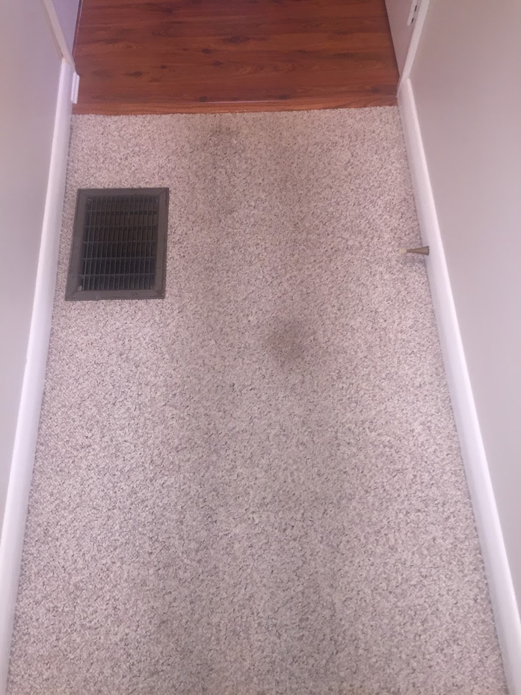 Simcoe Carpet & Upholstery Cleaners | 90 Ardagh Rd, Barrie, ON L4N 9B7, Canada | Phone: (705) 721-7555