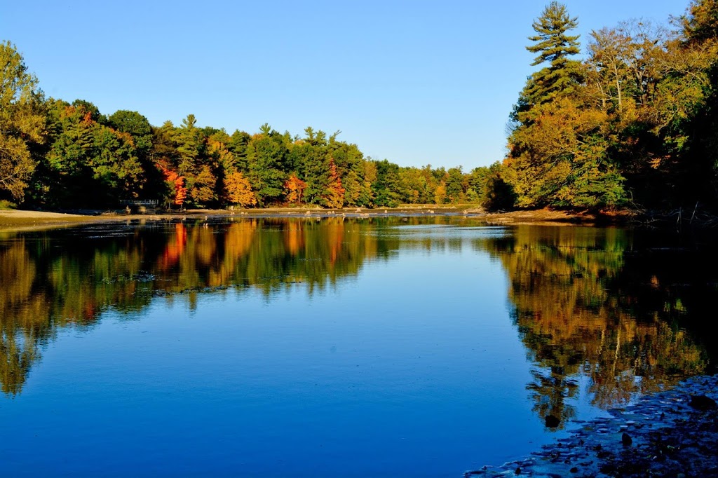 Springwater Conservation Area | 8079 Springwater Rd, Aylmer, ON N5H 2R4, Canada | Phone: (519) 773-9037