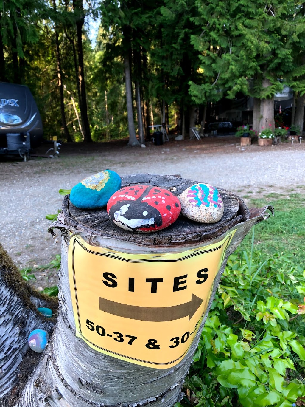 Whispering Pines RV & Tent Park | 11 Hamilton Rd, Mara, BC V0E 2K0, Canada | Phone: (250) 838-6775