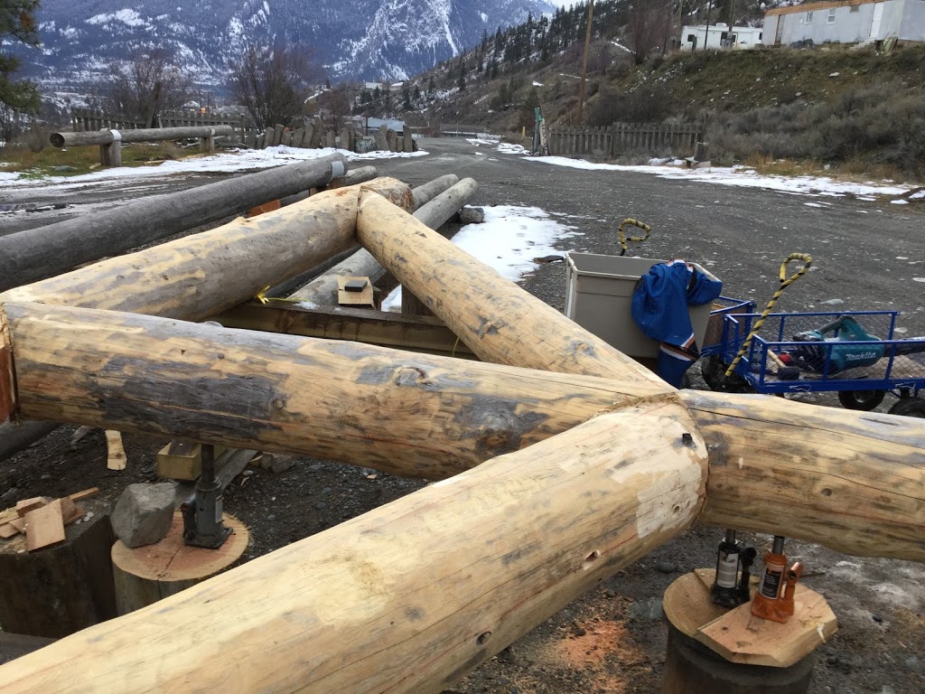 Critter Get Ritter | 37760 2 Ave, Squamish, BC V8B 0K1, Canada | Phone: (778) 508-7785
