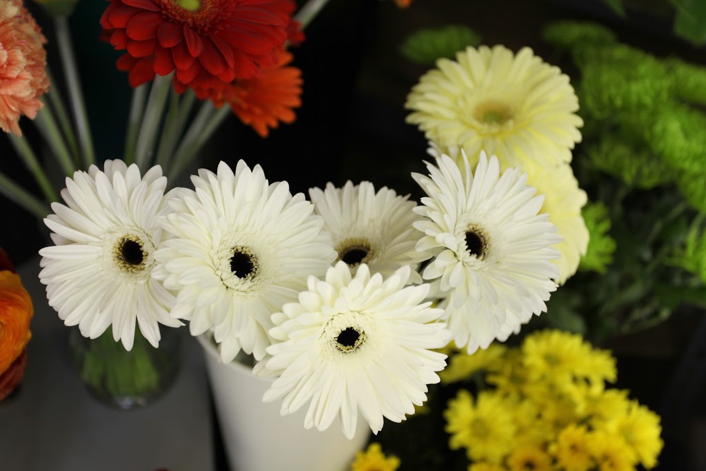 Fleuriste La Pousse Verte | 3280 Ch Ste-Foy, Québec, QC G1X 1S1, Canada | Phone: (418) 659-3770